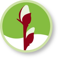 Weidenprofi-Icon